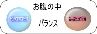 ���N�Z�~�i�[